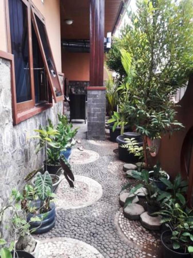 Mocca Guest House Banyuwangi  Zewnętrze zdjęcie